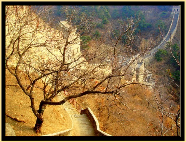 Фотографія *** / Ирина Баварская / photographers.ua