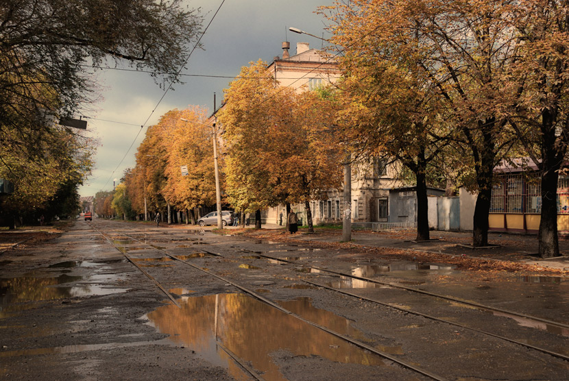 Фотографія Осень на проспекте / Kitten Siam / photographers.ua
