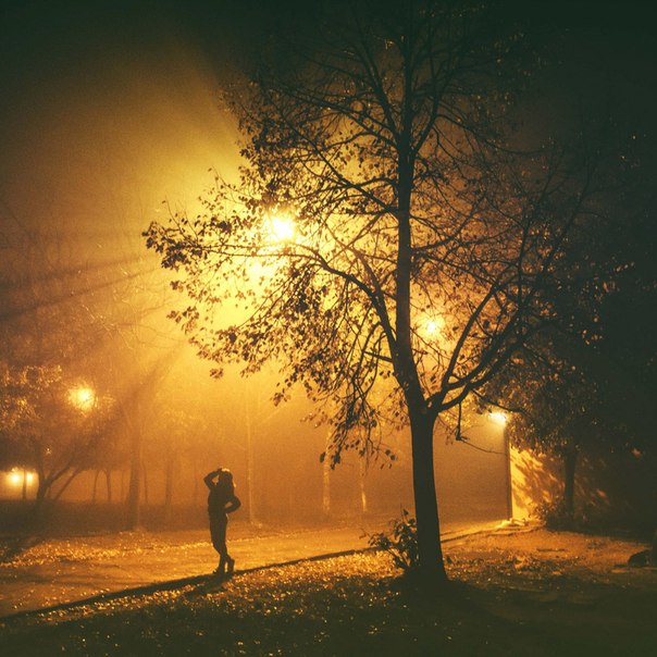 Фотографія это был просто туман... / Анна Колтун / photographers.ua