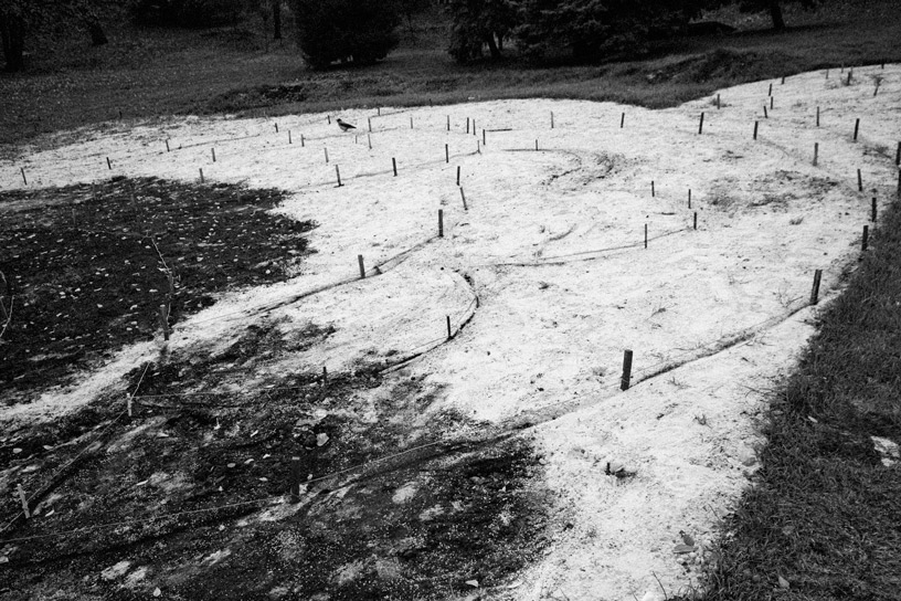 Фотографія **** / genjok / photographers.ua