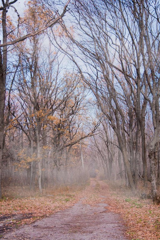 Фотографія Пейзаж / Elena K. / photographers.ua