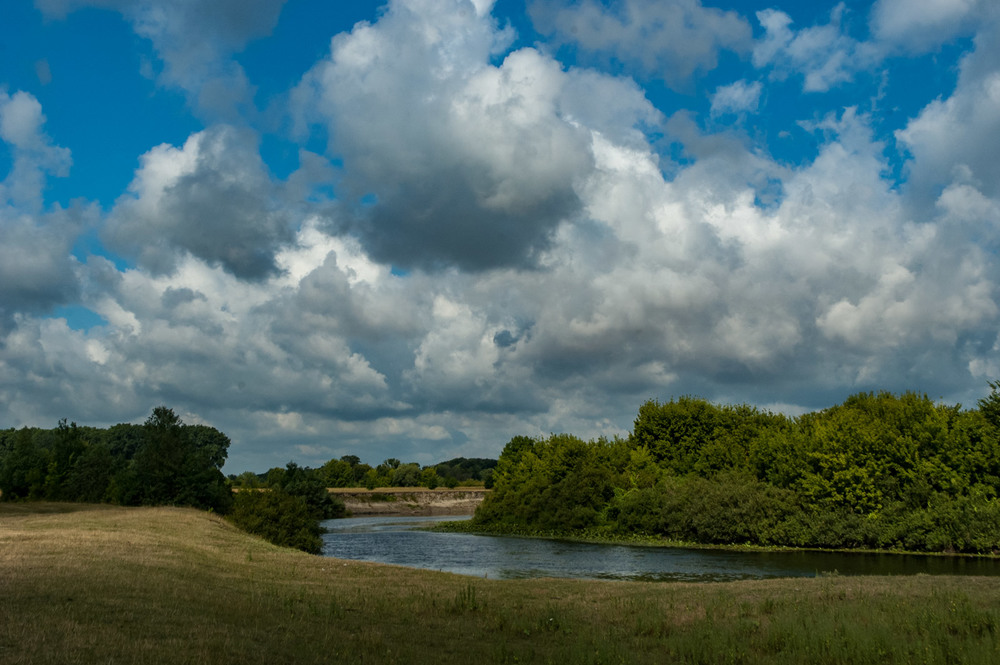 Фотографія Просто літо ... / Микола  Зарко / photographers.ua