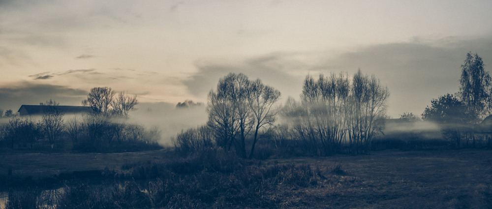 Фотографія Пізня осінь, ранковий  туман / Микола  Зарко / photographers.ua