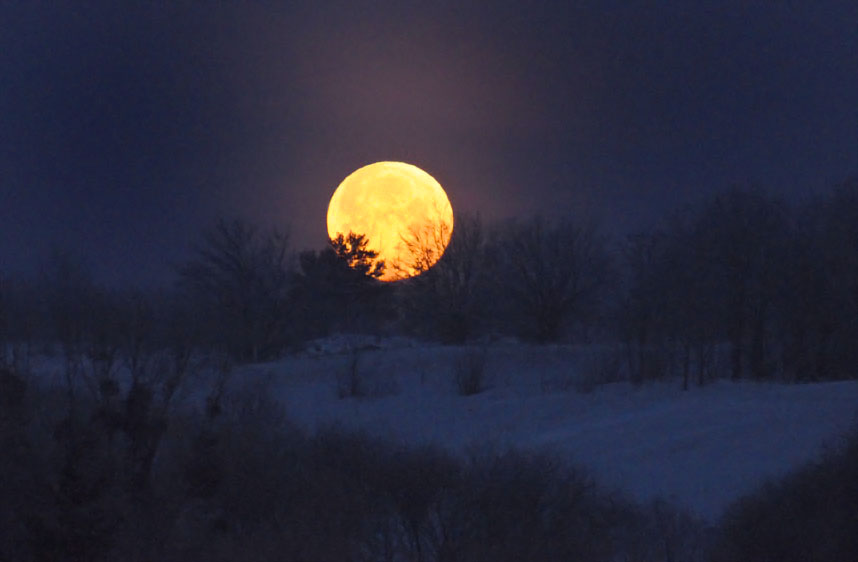 Фотографія moon / Виталий Бондарь (MorboN) / photographers.ua