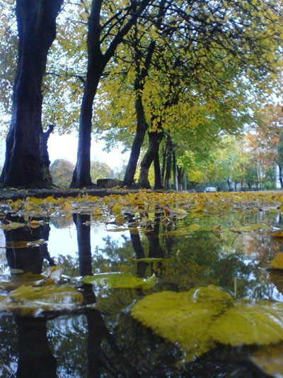 Фотографія Осінь, що минула. / Тетяна Ма / photographers.ua