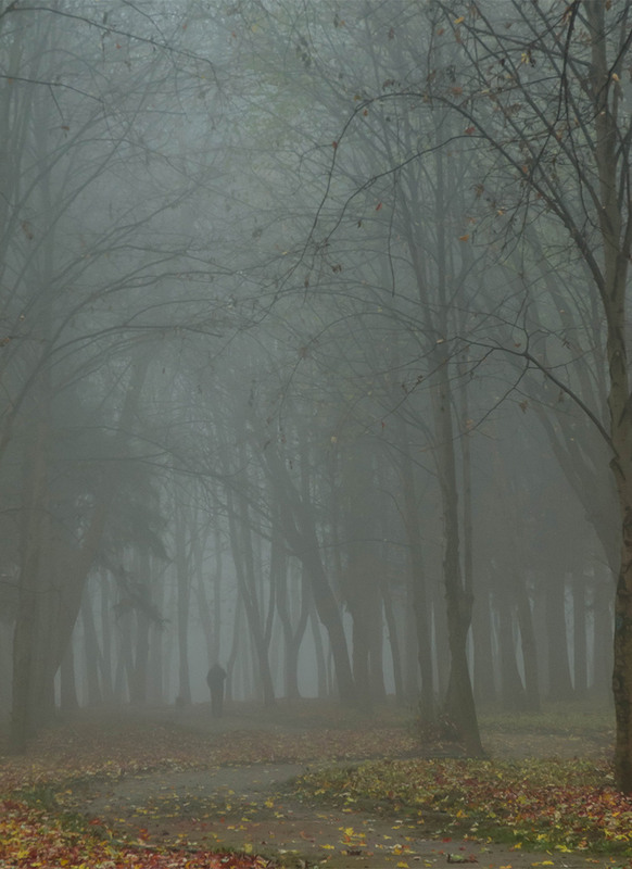Фотографія Блукаючи в тумані / Zyoma / photographers.ua