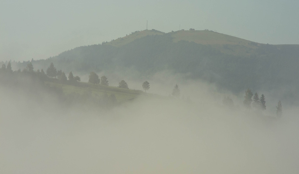Фотографія Коли туман спускається на землю... / Zyoma / photographers.ua