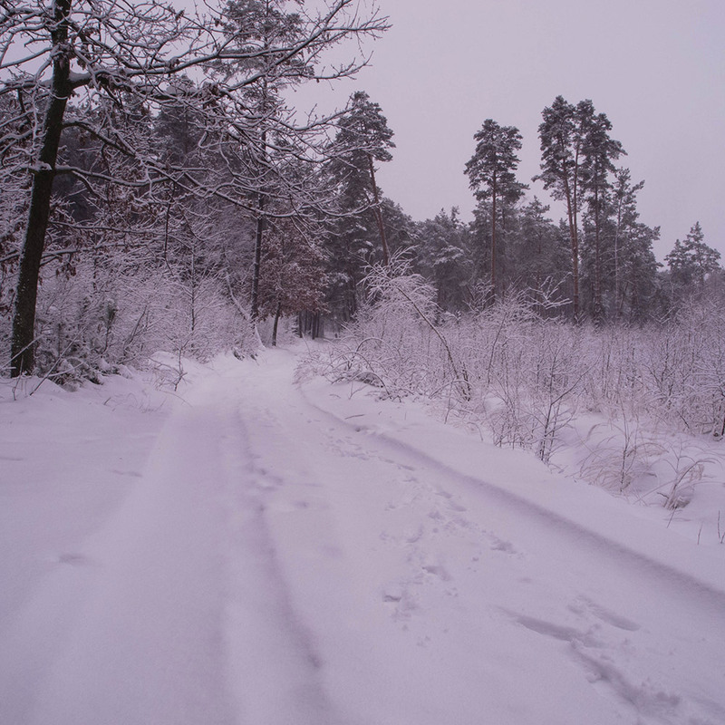 Фотографія Ото була зима... / Zyoma / photographers.ua