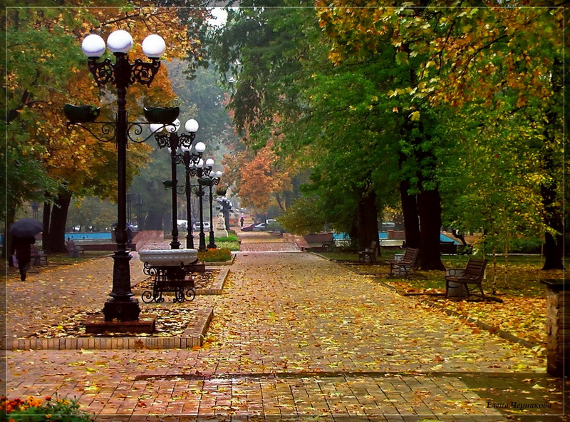 Фотографія Осень бродит по бульварам... / Лена Черникова / photographers.ua