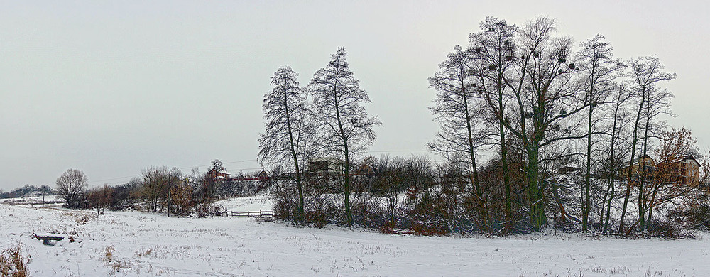 Фотографія Зимний пейзаж... / Виталий Ставаш / photographers.ua