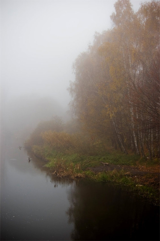 Фотографія із серії "Про туман..." 2 / #nestorfotkav / photographers.ua