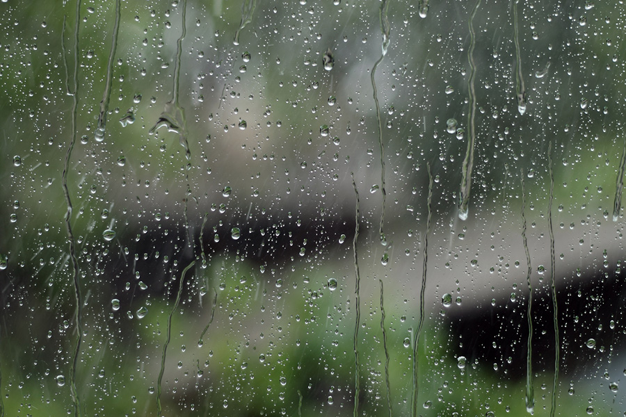 Фотографія Літній дощ.... / Ірина Вонсович / photographers.ua