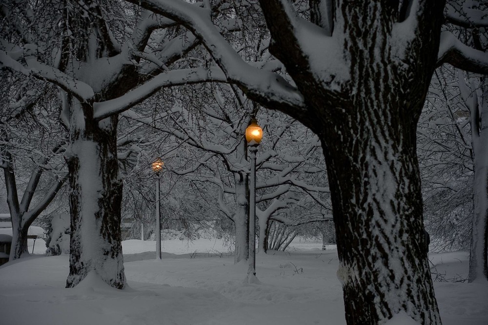 Фотографія зимний парк-2 / Вiктор Степаненко / photographers.ua