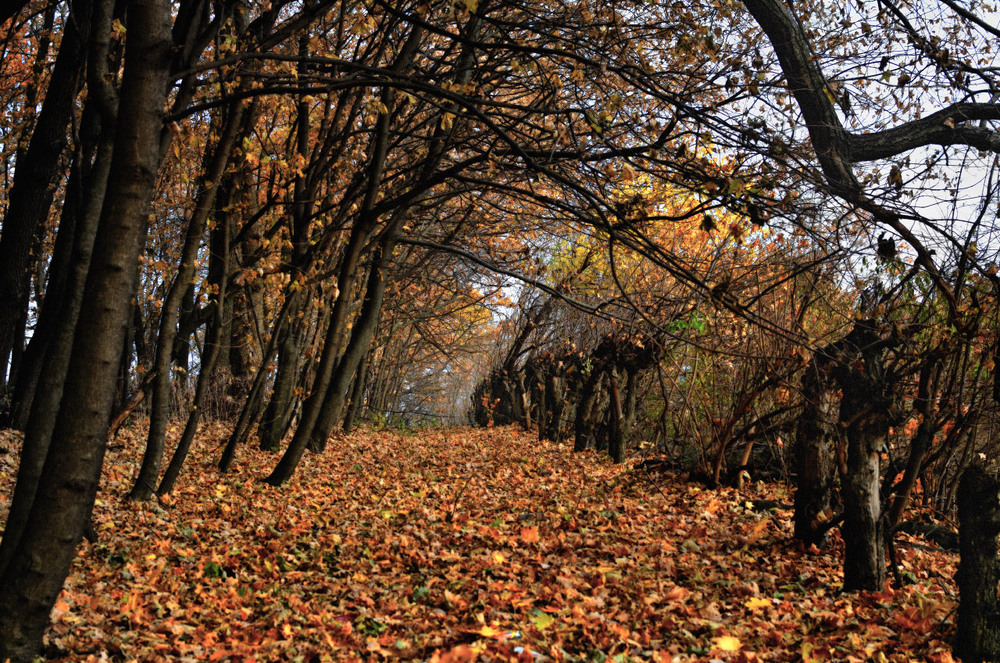 Фотографія Пейзаж / A.G.(Алекс@ндр) / photographers.ua