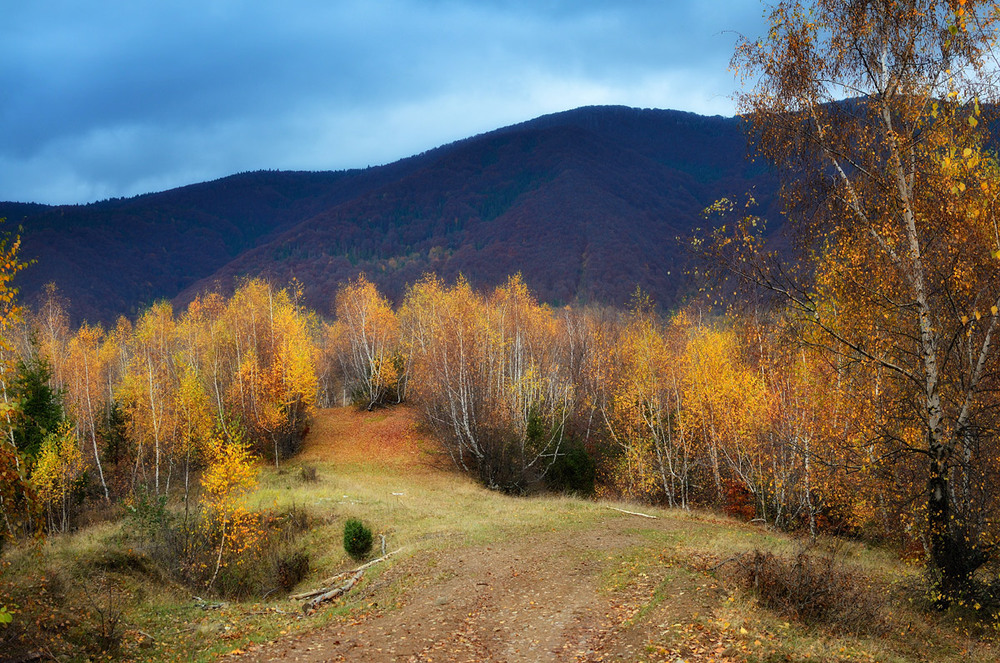 Фотографія Осенние контрасты Закарпатья... / A.G.(Алекс@ндр) / photographers.ua