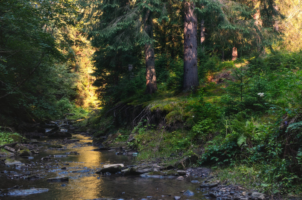 Фотографія Пейзаж / A.G.(Алекс@ндр) / photographers.ua