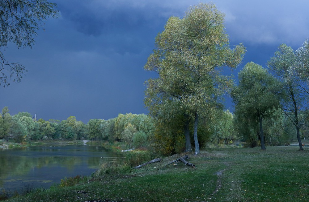 Фотографія Світло перед дощем / Юрій Андрієвский / photographers.ua