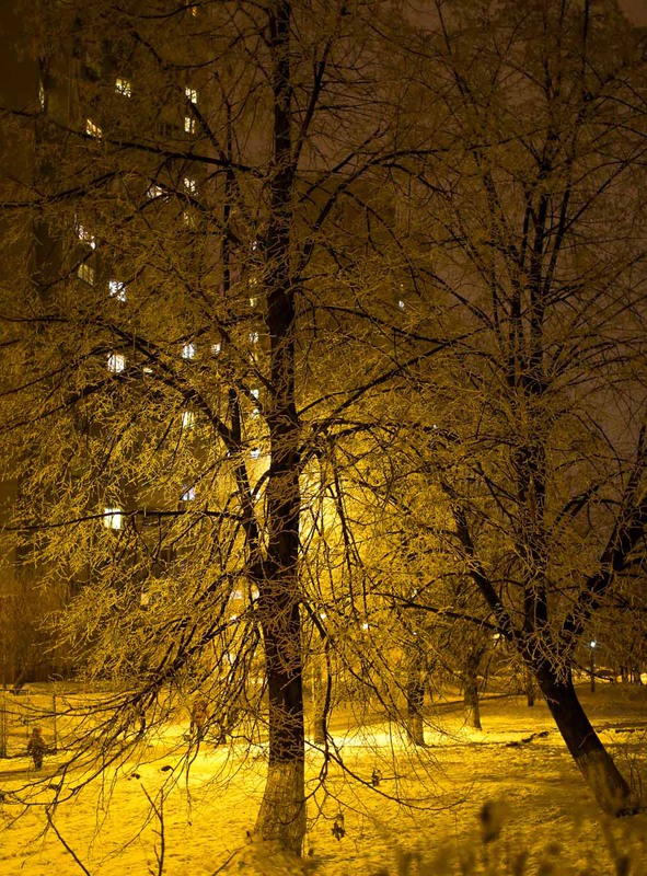 Фотографія Зимовий вечір у місті / Юрій Андрієвский / photographers.ua