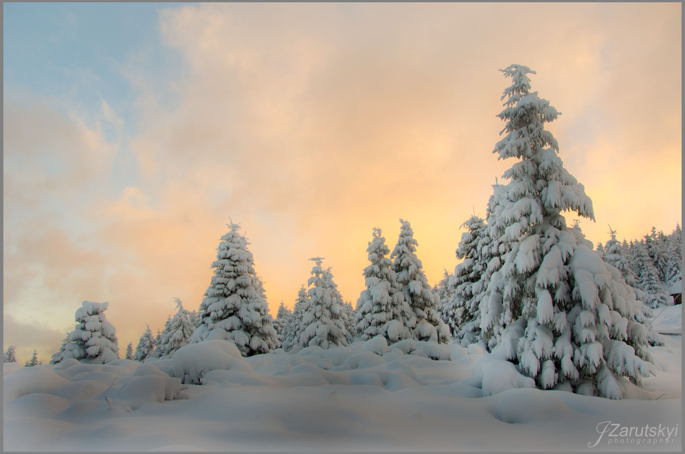 Фотографія Зима в Карпатах / Игорь / photographers.ua