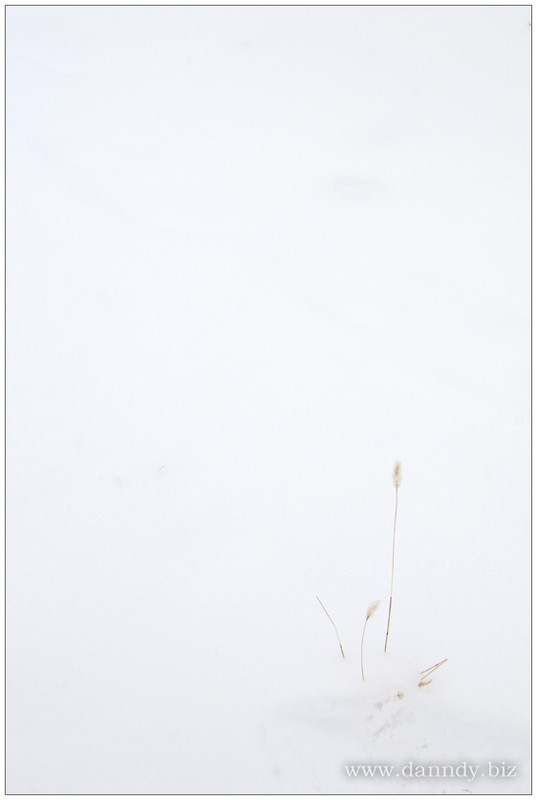 Фотографія Автограф зимы. / Андрей Данилишин / photographers.ua
