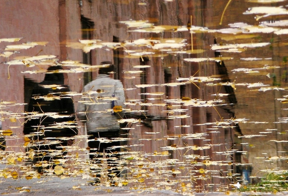 Фотографія Не так как надо / ArlekinD / photographers.ua