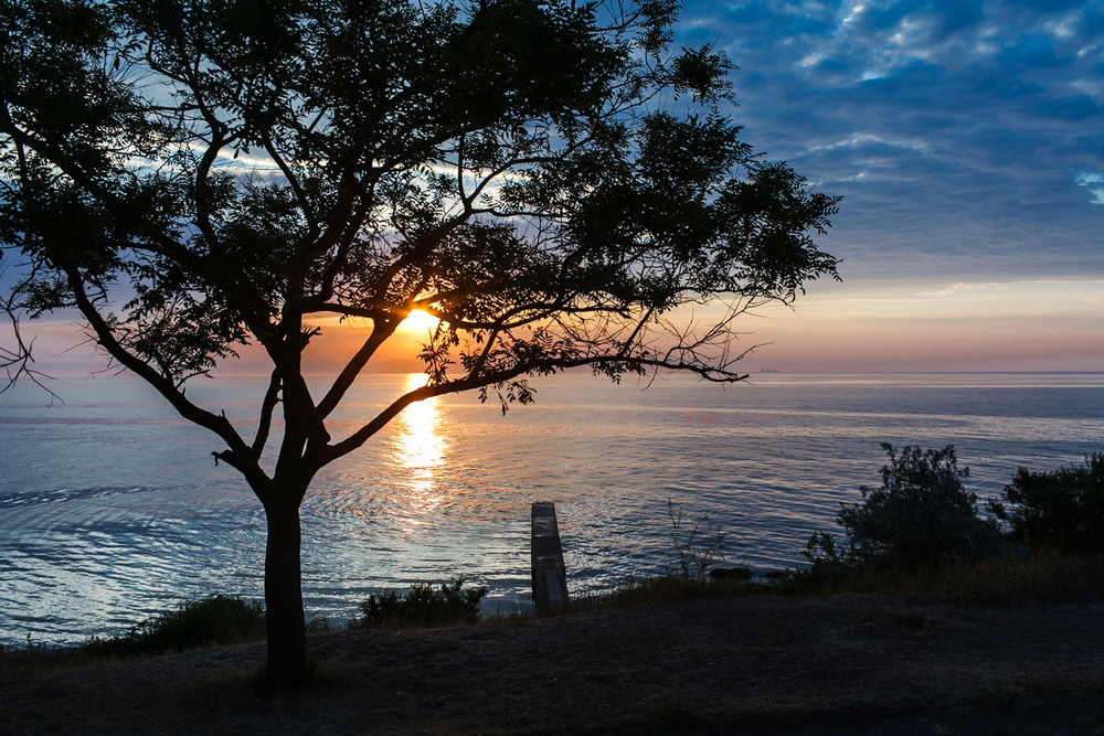 Фотографія Осенний одесский пляж / Александр Щедров / photographers.ua