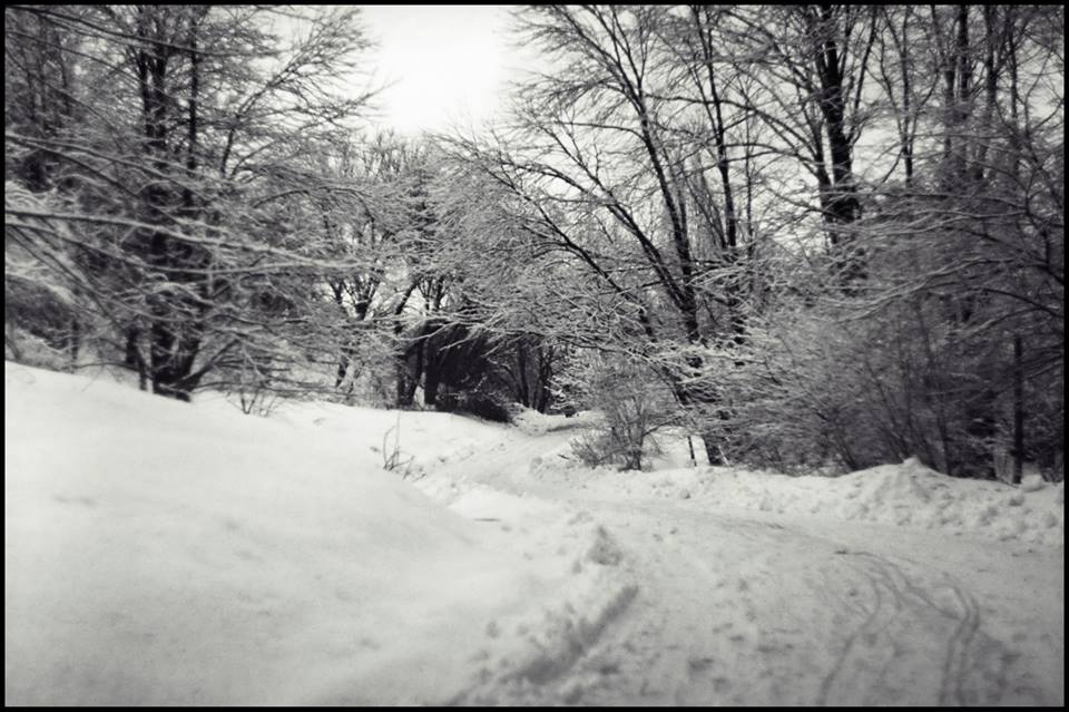 Фотографія ты снишься мне, зима... / Marta Khomenko / photographers.ua