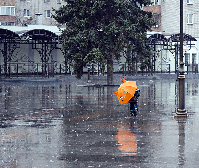Фотографія такая вот зима / Елена Смолина / photographers.ua