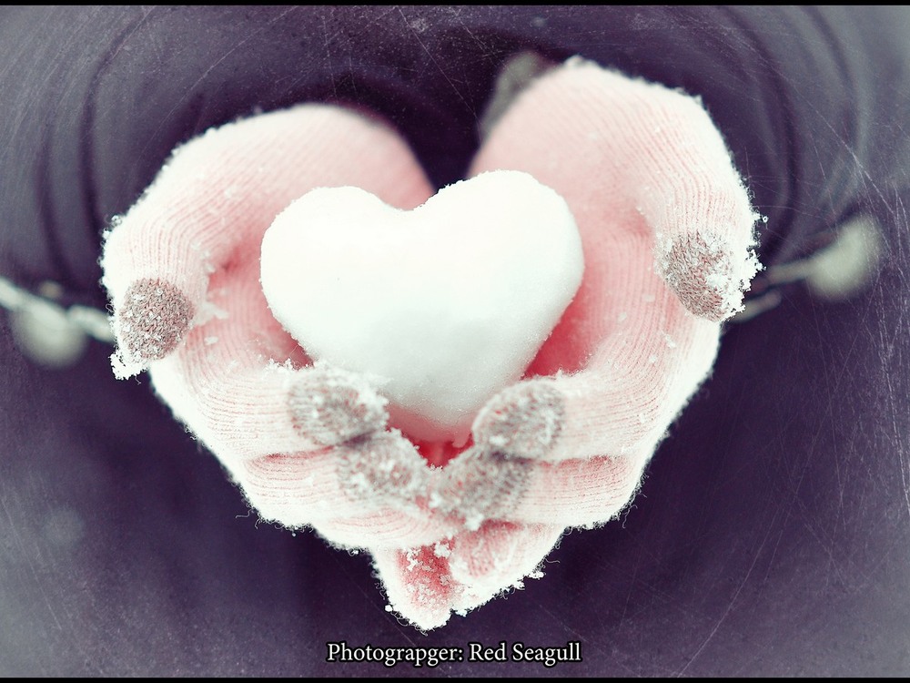Фотографія Берегите сердца любимых / Эдуард Попик / photographers.ua