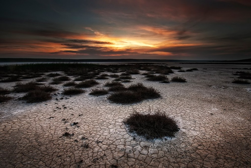 Фотографія Закат в пустыне / Stanislav Rico / photographers.ua