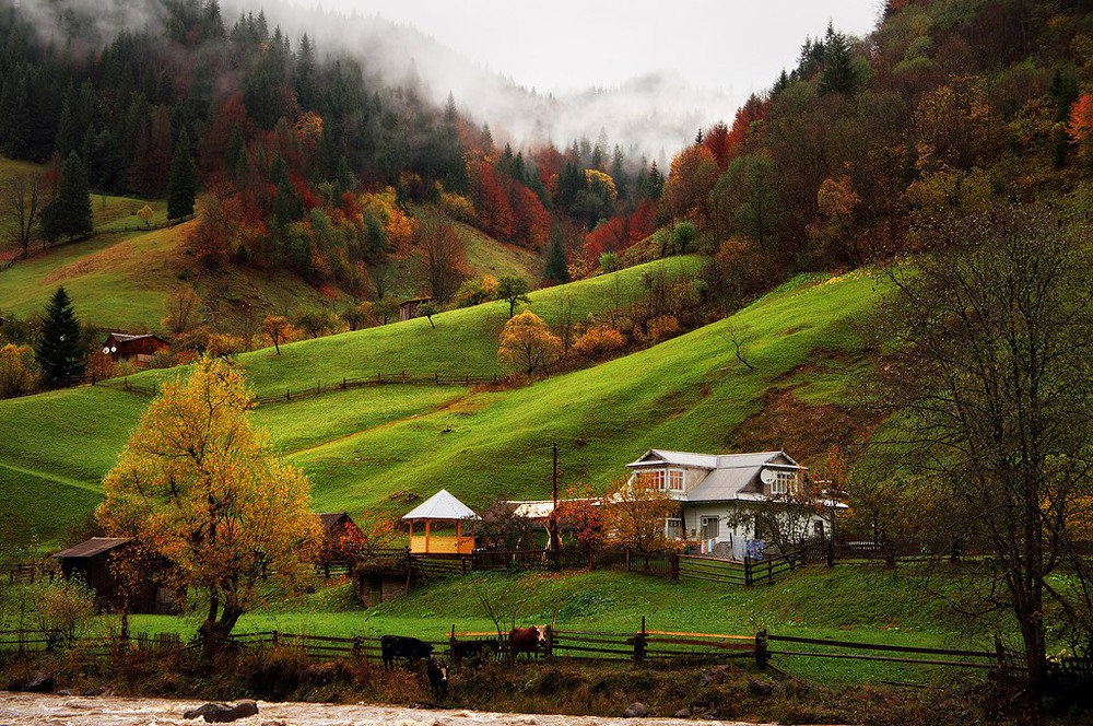 Фотографія Ordinary Paradise / Stanislav Rico / photographers.ua