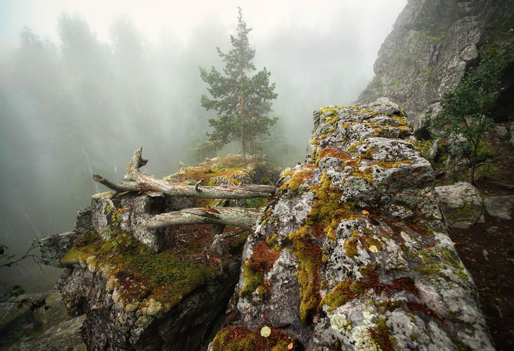 Фотографія Мост / Ляпин Владимир / photographers.ua