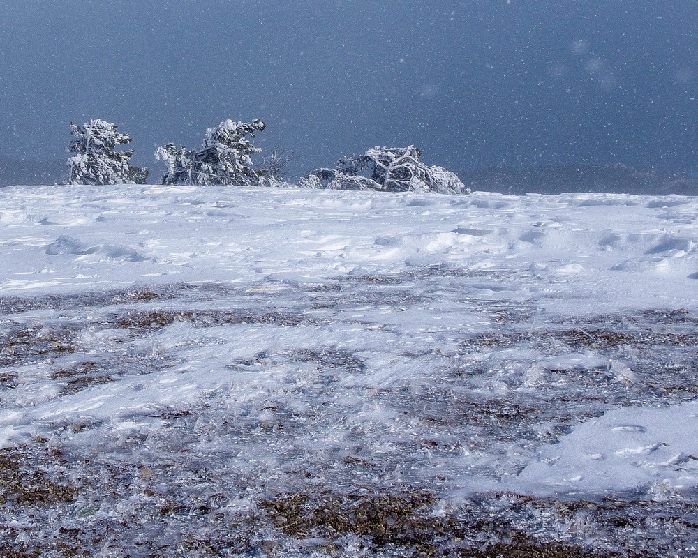 Фотографія "А снег идет.....а снег идет...." / Mikhailova / photographers.ua