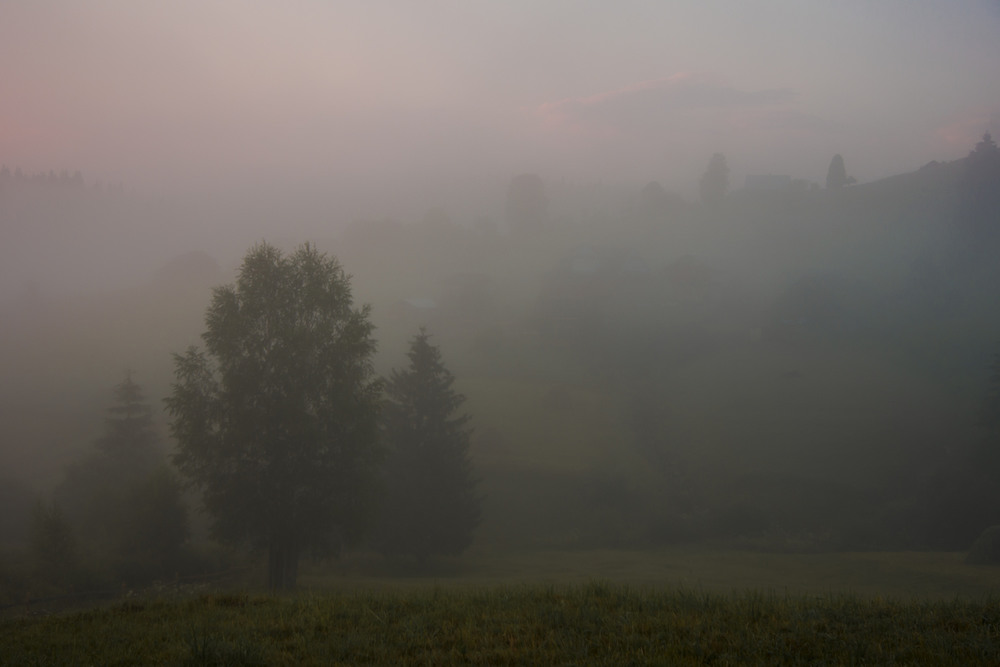 Фотографія "Чарівний ранок в сивому тумані..." (с) / Mikhailova / photographers.ua