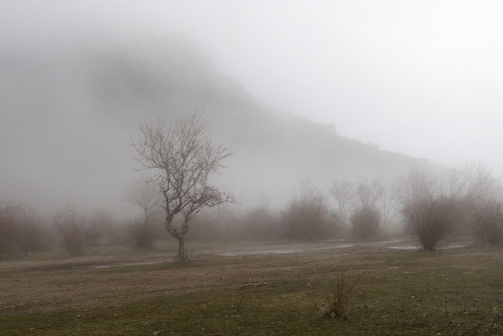 Фотографія А туман так и манит... / Mikhailova / photographers.ua