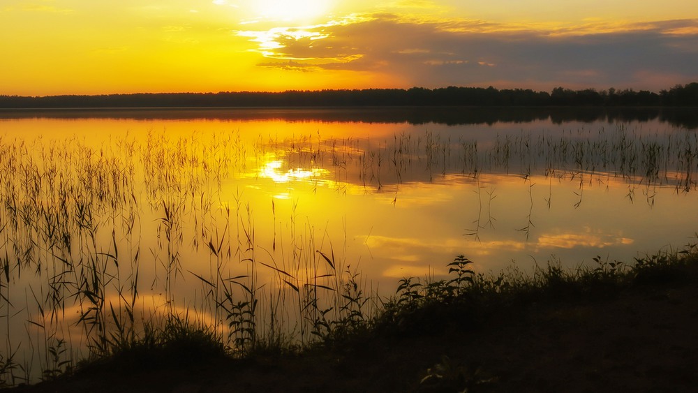 Фотографія Шацкие озера. Озеро Песочное / Mikhailova / photographers.ua