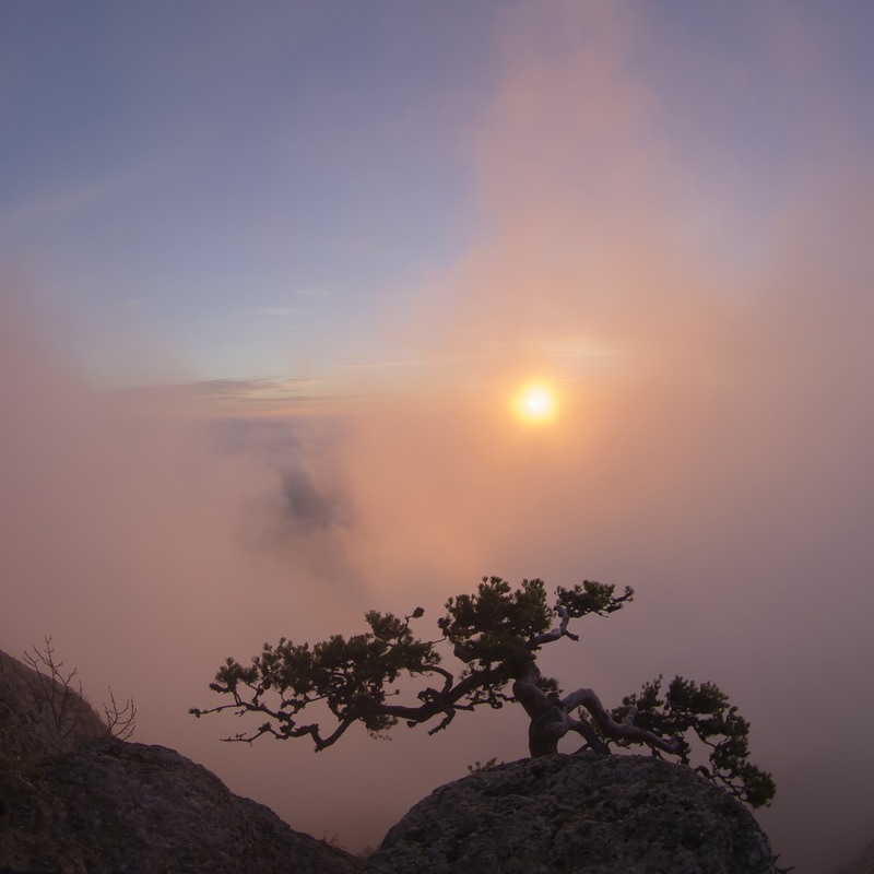 Фотографія "...сонно кутаясь в туман..."(с) / Mikhailova / photographers.ua