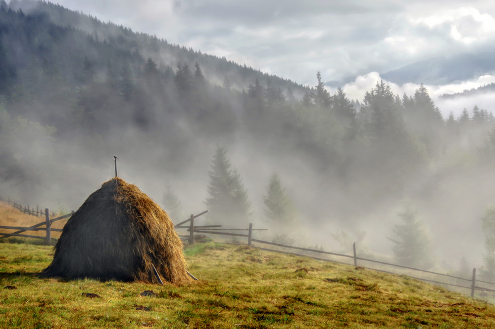 Фотографія крізь туман густий іду / Mikhailova / photographers.ua
