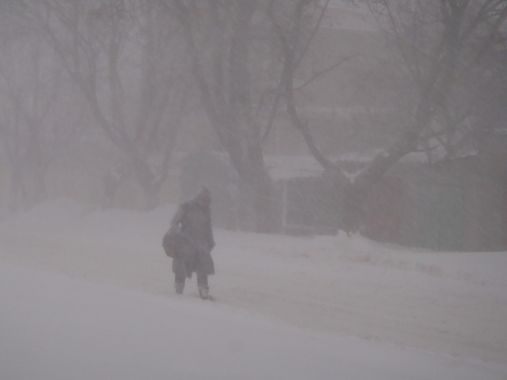 Фотографія зима нагрянула нежданно.. / Mikhailova / photographers.ua