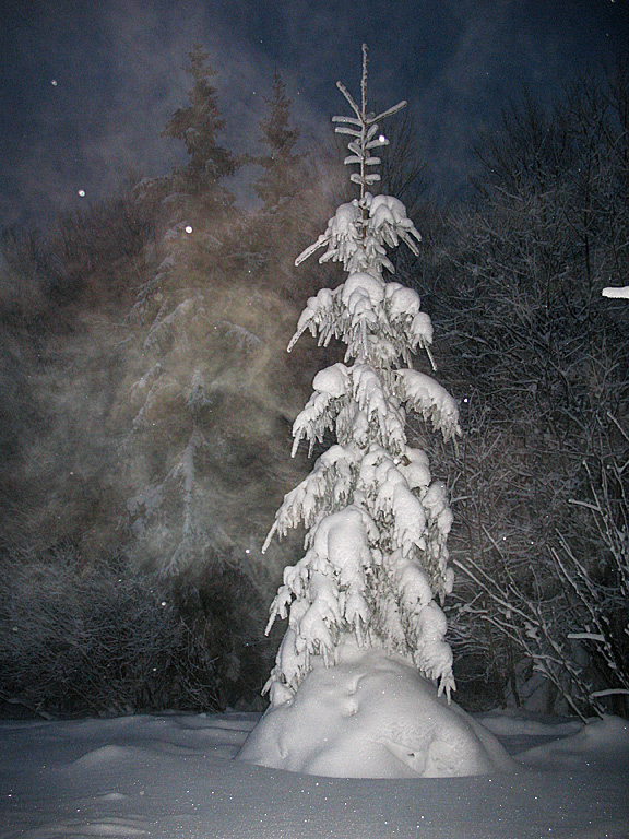 Фотографія Морозной ночью... / Александр Федак / photographers.ua