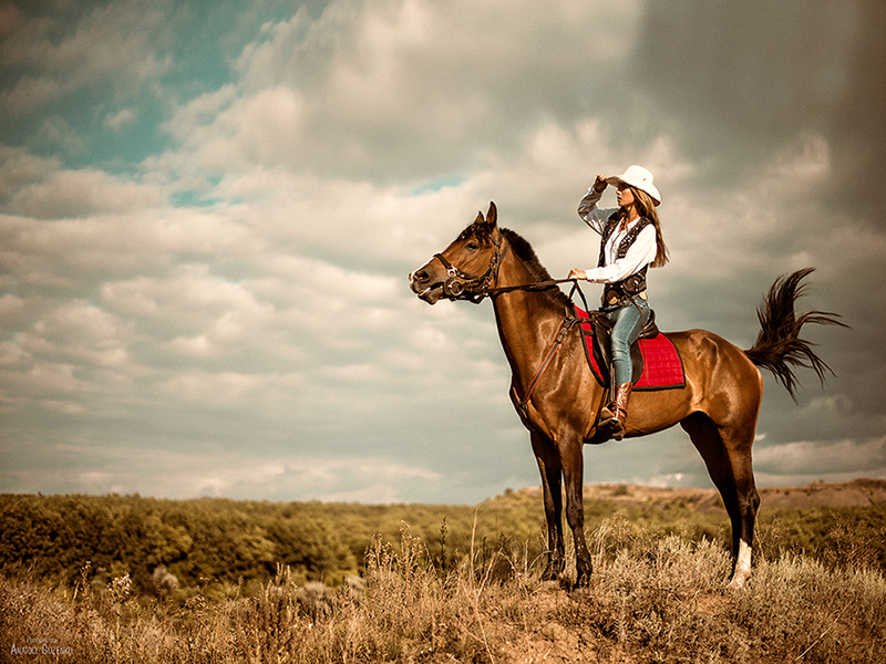 Фотографія . / Anatoly Guzenko / photographers.ua