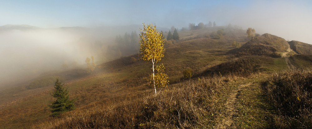 Фотографія Магія осіннього туману 2. / Баккай Євген / photographers.ua