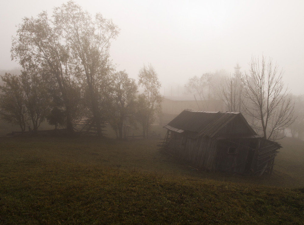 Фотографія Коли приходить остання осінь / Баккай Євген / photographers.ua