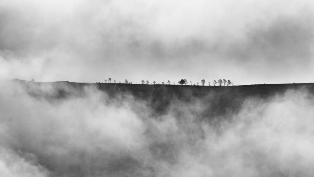 Фотографія Виглянули / Баккай Євген / photographers.ua