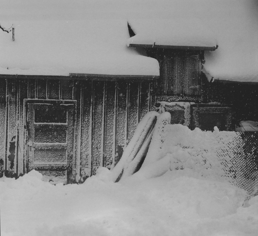 Фотографія Спогади...про такі зими також... / Баккай Євген / photographers.ua