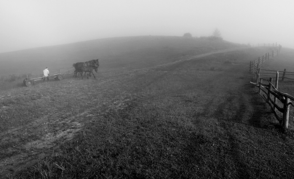 Фотографія В тумані... / Баккай Євген / photographers.ua