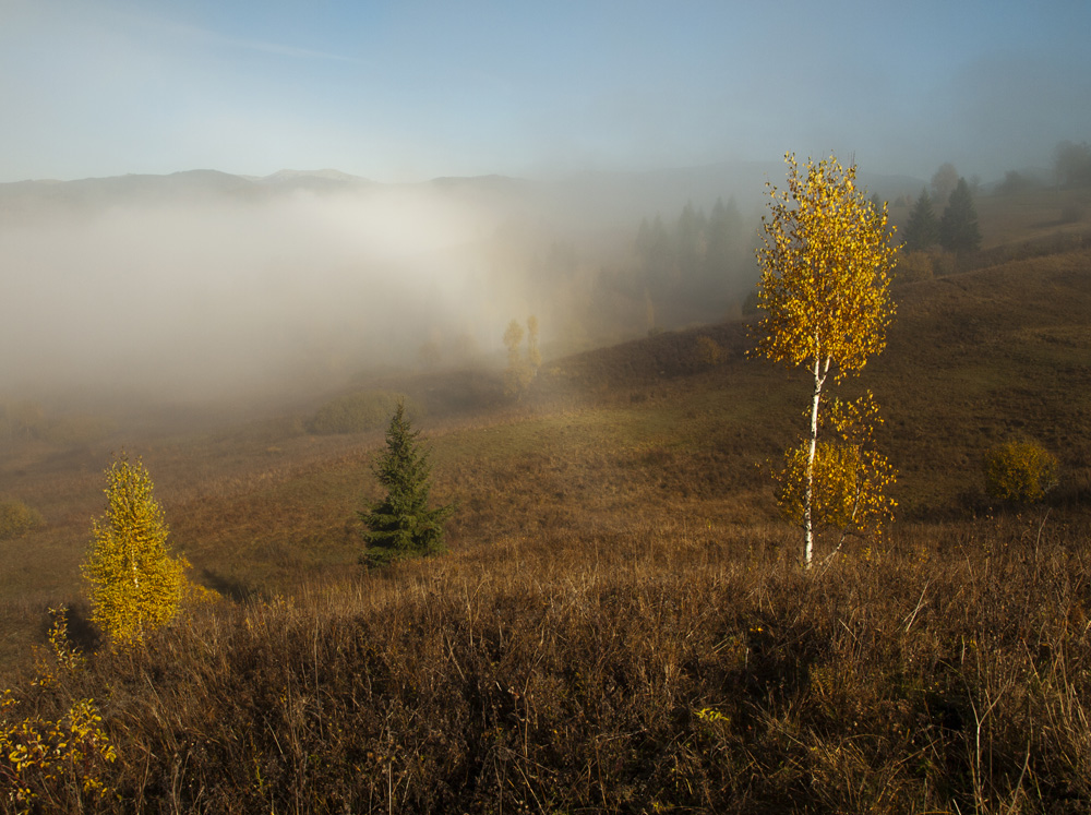 Фотографія Магія осіннього туману / Баккай Євген / photographers.ua