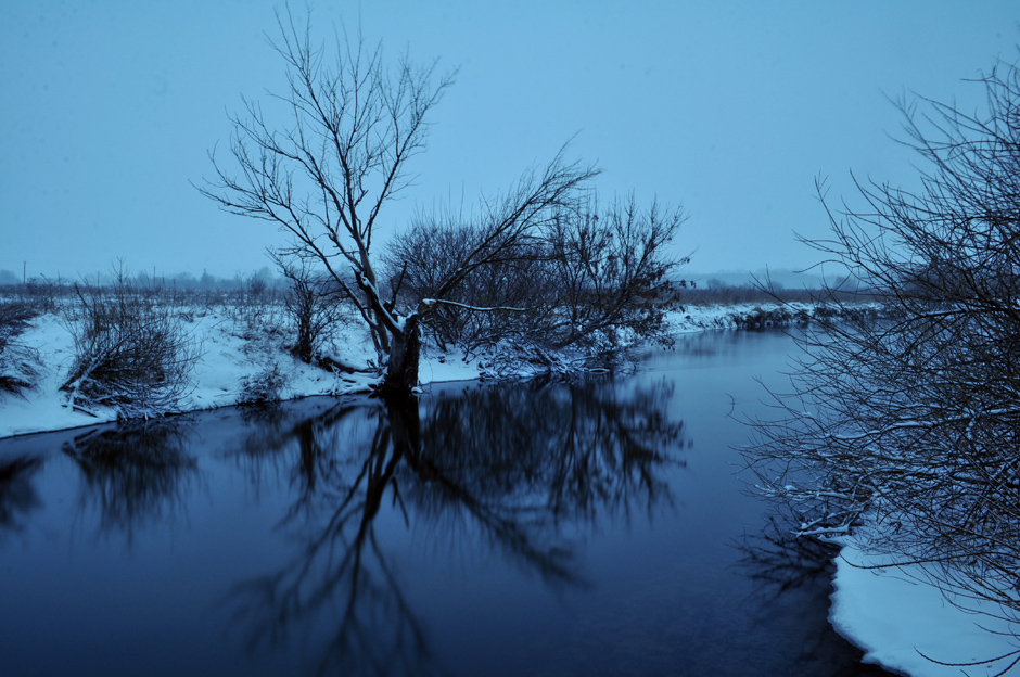 Фотографія Зимовий момент / Марат Біккулов / photographers.ua