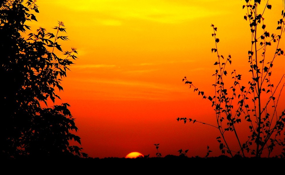 Фотографія The sunset / Никита Олегович / photographers.ua