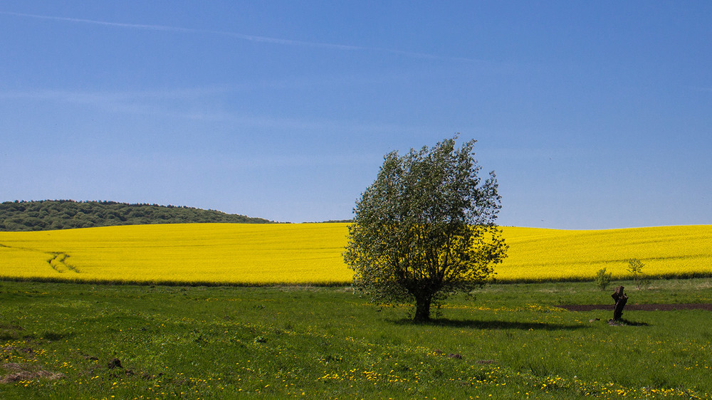 Фотографія Пейзаж / Ігор Букай / photographers.ua